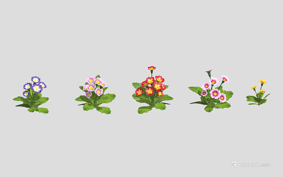 Colorful Flowering Plants With Various Colored Blooms And Green Leaves Arranged In Row 3d model 