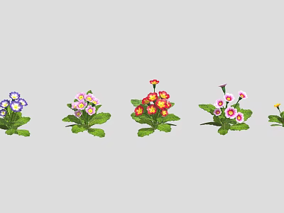 Colorful Flowering Plants With Various Colored Blooms And Green Leaves Arranged In Row 3d model