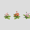 Colorful Flowering Plants With Various Colored Blooms And Green Leaves Arranged In Row