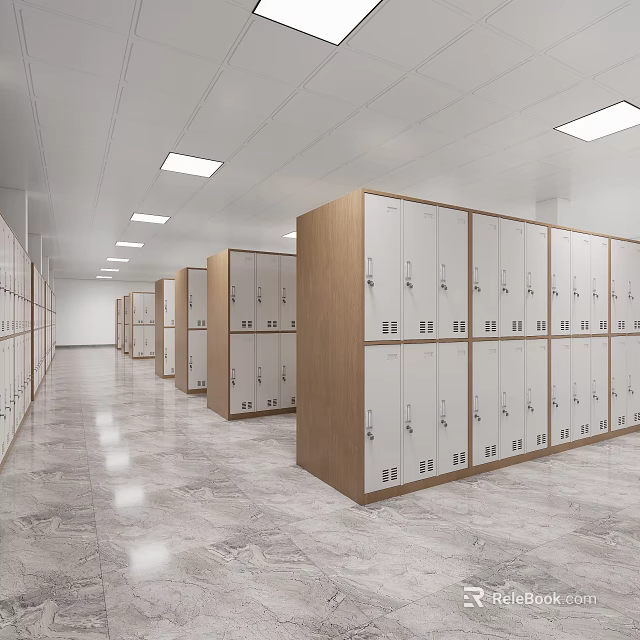 Neat Lockers Arrangement In Indoor Corridor With Ceiling Lights And Polished Floors 3d model 