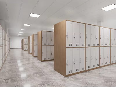 Neat Lockers Arrangement In Indoor Corridor With Ceiling Lights And Polished Floors 3d model