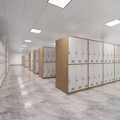 Neat Lockers Arrangement In Indoor Corridor With Ceiling Lights And Polished Floors 3d model