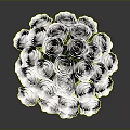 Bouquet of White Roses Arranged in Black Vase Against Gray Background