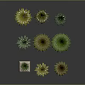 Green Plants in Various Decorative Planters with Different Designs and Heights on Dark Reflective Surface