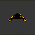 Black and Yellow Spotted Reptile on Smooth Reflective Surface Close Up View