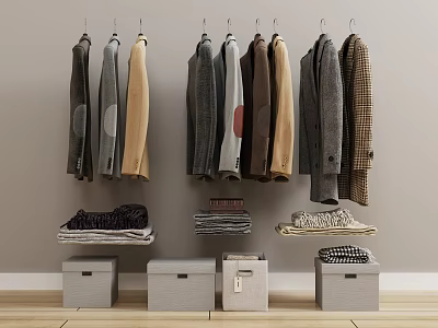 Stylish Clothes Hanging On Hangers With Folded Layers And Storage Boxes 3d model