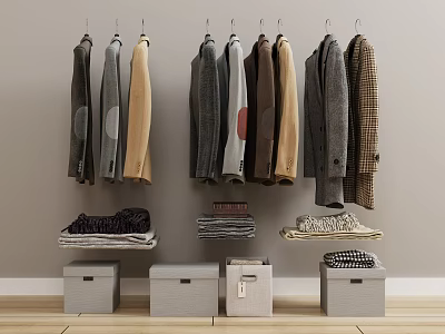 Stylish Clothes Hanging On Hangers With Folded Layers And Storage Boxes 3d model