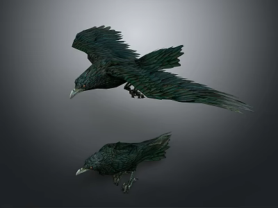 Realistic Black Ravens Flying and Perched with Detailed Feathers in Natural Scene 3d model