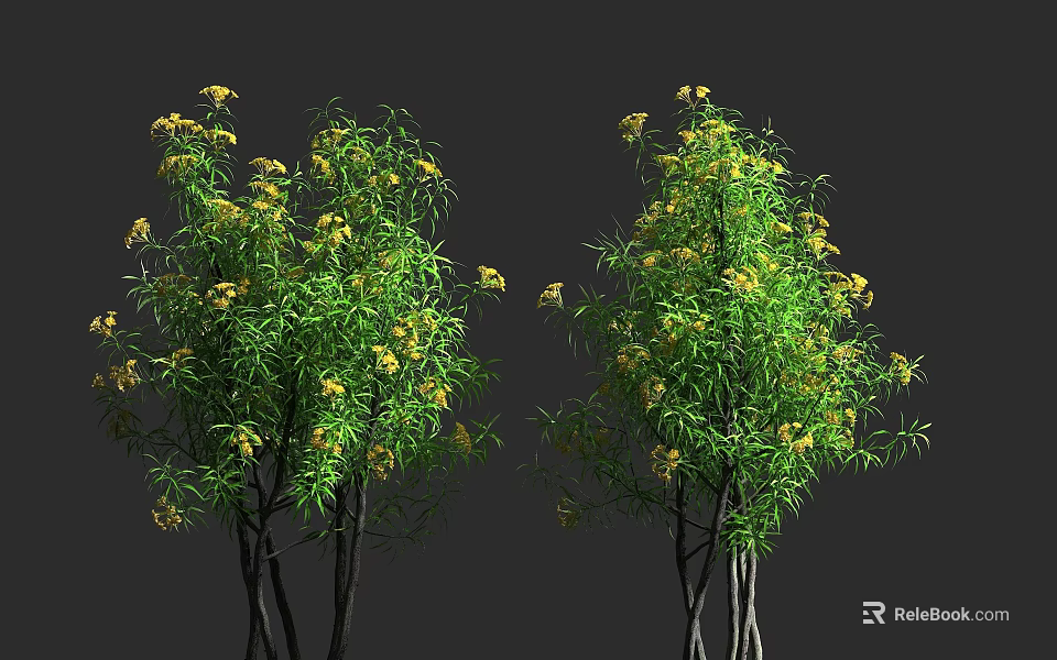 Two Lush Green Shrubs With Yellow Flowers Against Grey Background 3d model 