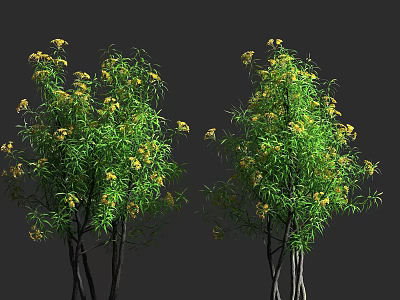 Two Lush Green Shrubs With Yellow Flowers Against Grey Background 3d model