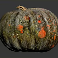 Vibrant Colorful Speckled Pumpkin With Textured Skin And Natural Stem