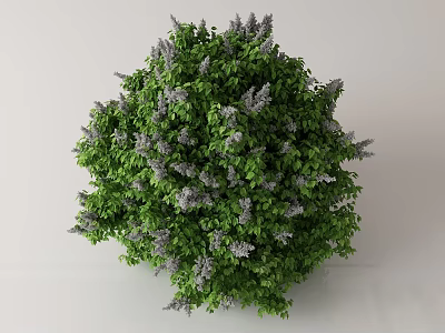 Lush Round Bush With Green Leaves And Vibrant Purple Flowers 3d model