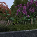 Purple Flowering and Red Leaf Trees in Garden Landscape With Green Shrubs and Banana Plants