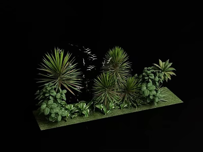Green Plants Arrangement With Black Stone On Green Platform Against Black Background 3d model