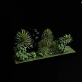 Green Plants Arrangement With Black Stone On Green Platform Against Black Background