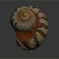 Vibrant Shell Shaped Sculpture Featuring Spiral Design And Orange White Hues