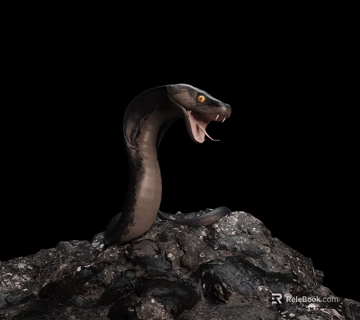 Reptile Snake With Open Mouth On Rock Against Black Background 3d model 