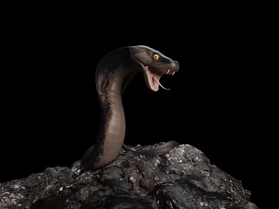 Reptile Snake With Open Mouth On Rock Against Black Background 3d model