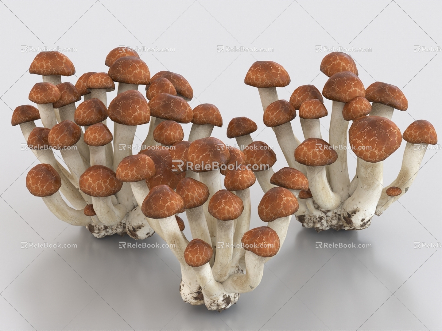 beech mushroom vegetables shellfish polypore food 3d model