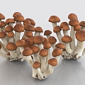 beech mushroom vegetables shellfish polypore food 3d model