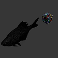 Still Life Display With Fresh Fish And Colorful Rubik's Cube On Gray Background