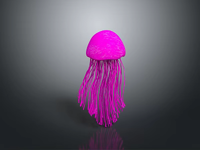 Vibrant Pink Jellyfish With Long Flowing Tentacles On Gray Background With Reflection 3d model