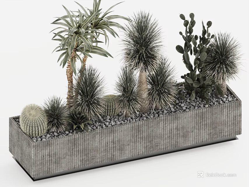 Bonsai Potted Plants in Rectangular Gray Concrete Planter with Cactus Palm-like and Thorny Shrubs 3d model 