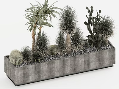 Bonsai Potted Plants in Rectangular Gray Concrete Planter with Cactus Palm-like and Thorny Shrubs 3d model