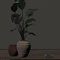 Indoor Decor Green Potted Plant with Large Leaves in White Ceramic Pot on Wooden Tabletop