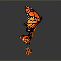 Monarch Butterflies With Orange Black Wings And White Spots Flying On Gray Background