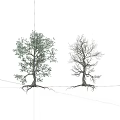 Dead Trees 3d model