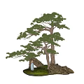 Bonsai Pine Tree with Small Figure on Rock and Green Grass Decor 3d model