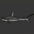 Realistic 3D Model of Hammerhead Shark With Unique Hammer Shaped Head And Grey Skin