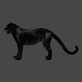 Realistic Black Panther Game Movie Character 3D Model on Green Background