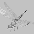 modern dragonfly 3d model