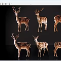 Group Of Six Brown White Spotted Deer With Antlers Standing On Black Background