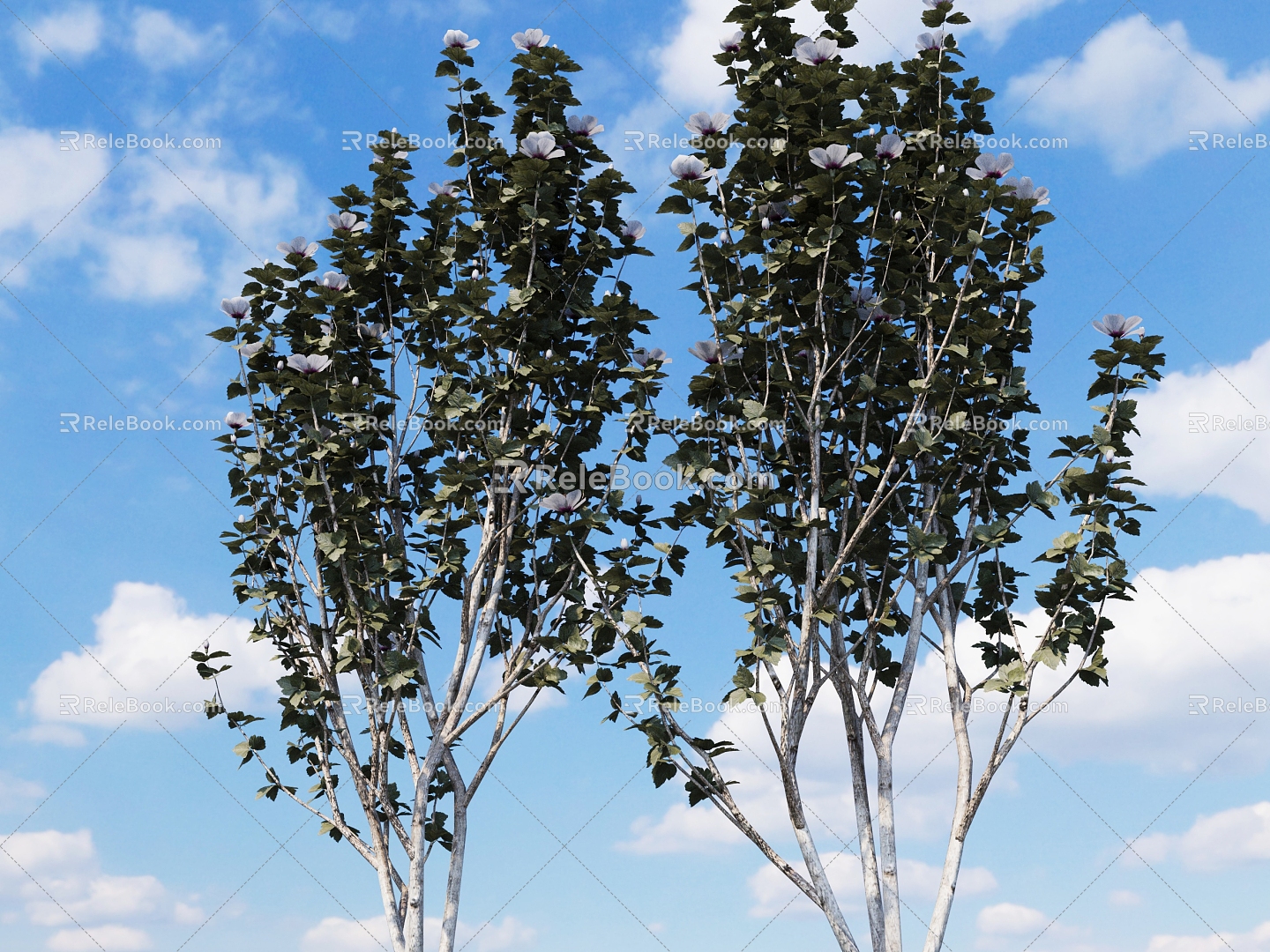 tree roadside tree road greening road greening 3d model