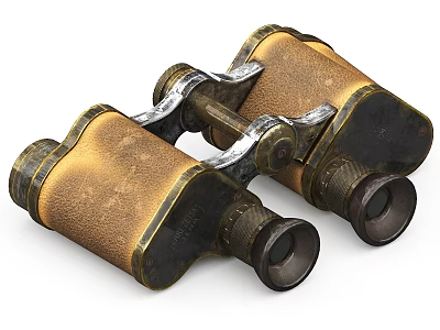 Vintage Brass Binoculars With Leather Cover And Antique Design Elements 3d model