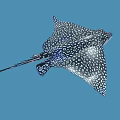 Stunning Aquatic Animal Ray with Black and White Spotted Body and Wings in Blue Background