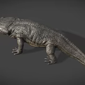 Giant Salamander With Gray Textured Skin And Open Mouth On Gray Background