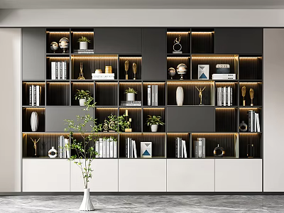 Modern Style Multi-layer Bookcase With Black White Color Scheme LED Lighting Decorative Items And Books 3d model