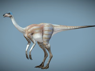 Realistic Prehistoric Dinosaur With Striped Body Long Neck And Bipedal Stance 3d model