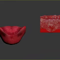 Red Petal Like Object And Detailed Internal Structured Block 3D Rendering With Textured Surface 3d model