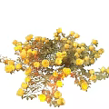 Beautiful Yellow Roses Blooming In A Lush Garden Bush With Green Leaves