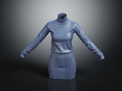 Blue Ribbed Knit Turtleneck Dress With Long Sleeves For Women 3d model