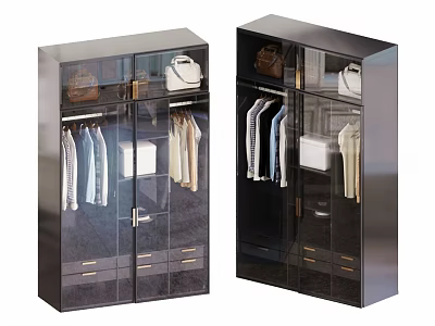 Modern Wardrobe Interior With Glass Doors Hanging Clothes Bags And Drawers 3d model