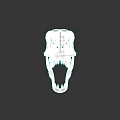 Reptile Dinosaur Skull Model With White Bone Structure On Black Background