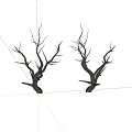 Two Dry Trees With Leafless Twisted Branches Isolated On White Background 3d model