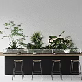 Modern Wooden Coffee Bar Counter With Lush Green Indoor Plants And Comfortable Bar Stools