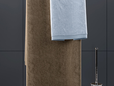 Modern towel rack combination model